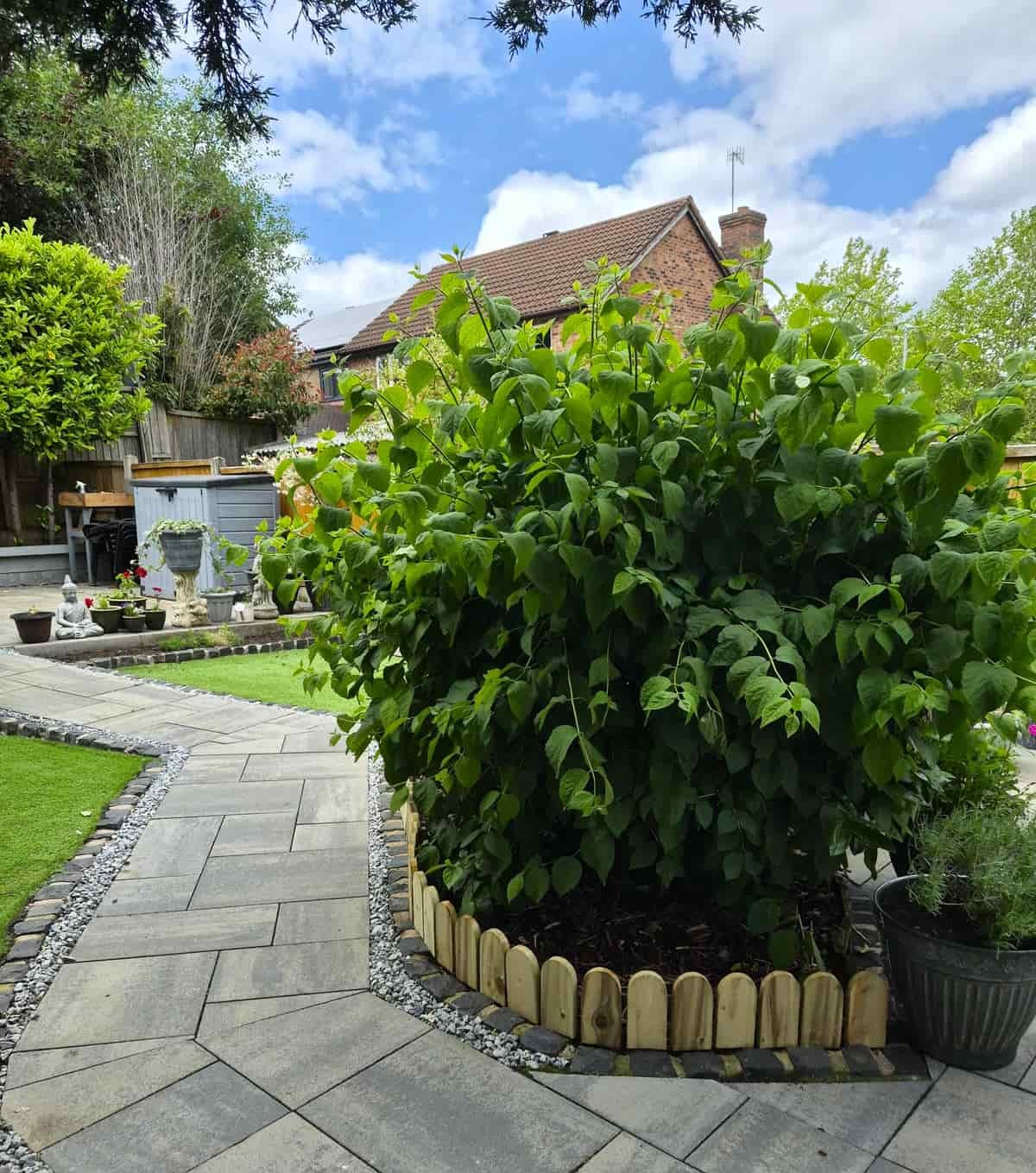 Rustic Knots wooden lawn edging following a curved garden path
